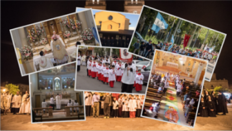 Galeria multimedia